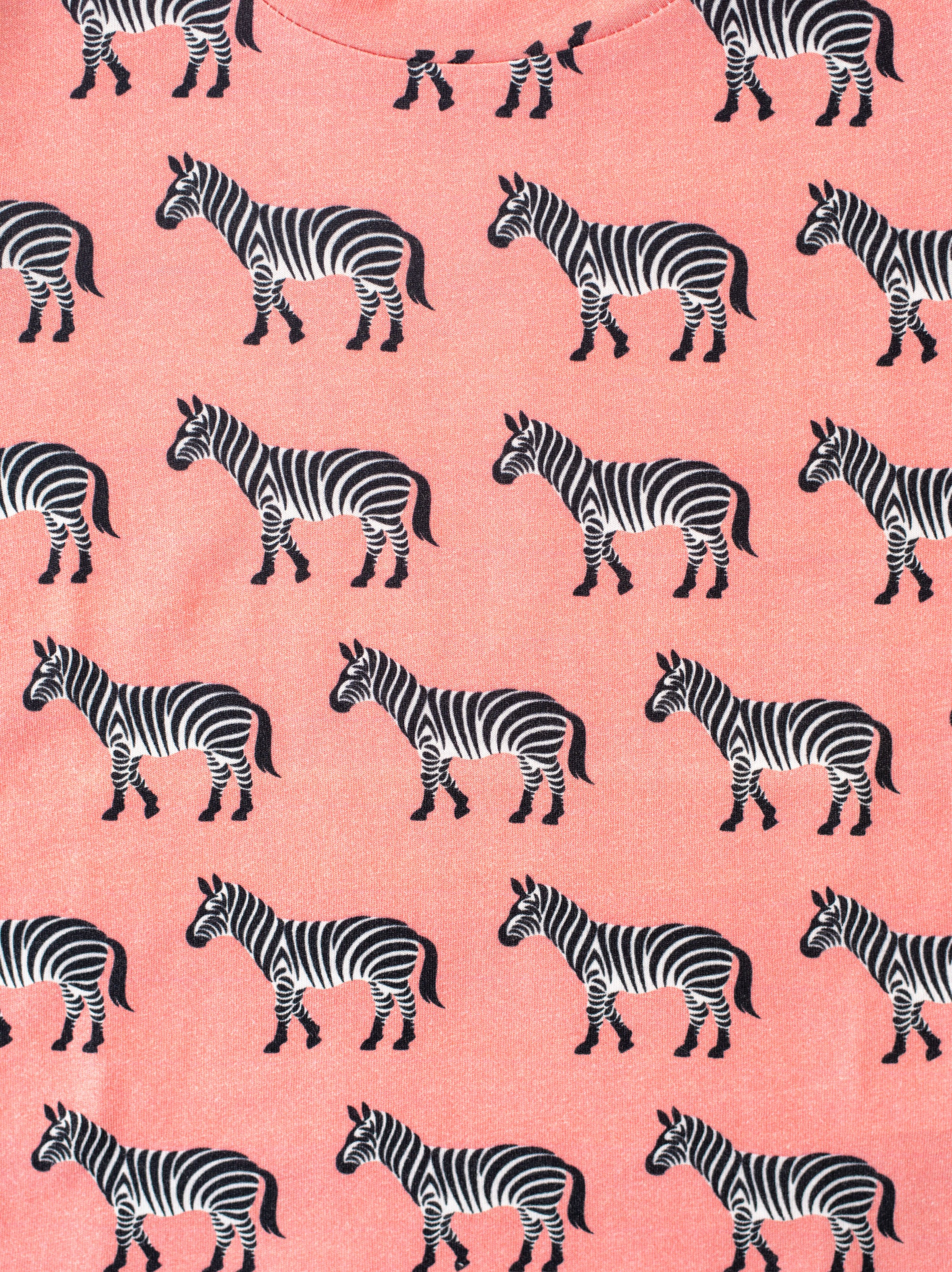 Zebra-Animal Planet